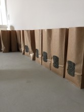 Les lentilles vertes et super aliment en vente directe du producteur au consommateur  Toussieu Sud de Lyon Les Robins Des Champs 